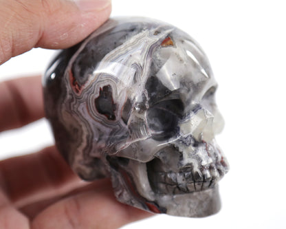 3.0" Red Crazy Lace Agate Hand Carved Crystal Realistic Skull Sculpture Crystallumi