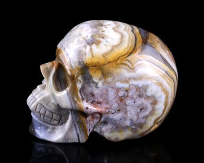 3.0" Red Crazy Lace Agate Hand Carved Crystal Realistic Skull Sculpture Crystallumi