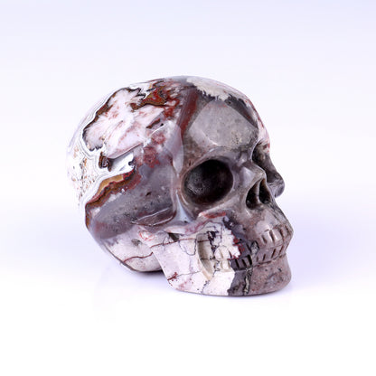 3.0" Red Crazy Lace Agate Hand Carved Crystal Realistic Skull Sculpture Crystallumi