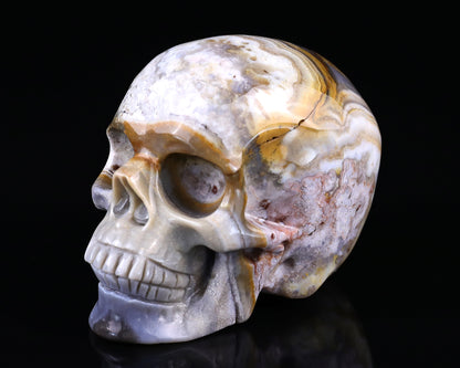 3.0" Red Crazy Lace Agate Hand Carved Crystal Realistic Skull Sculpture Crystallumi