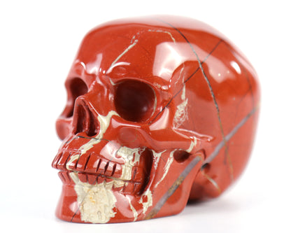 3.0" Red Jasper Hand Carved Crystal Realistic Skull Sculpture Crystallumi