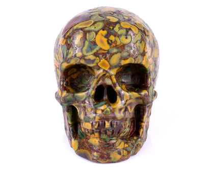 3.0" Roe Stone Hand Carved Crystal Realistic Skull Sculpture Crystallumi