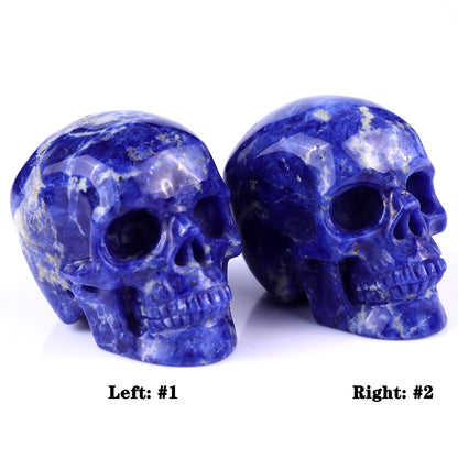 3.0" Sodalite Hand Carved Crystal Realistic Skull Sculpture Crystallumi