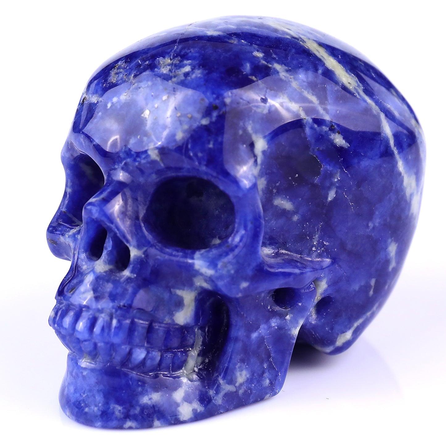 3.0" Sodalite Hand Carved Crystal Realistic Skull Sculpture Crystallumi