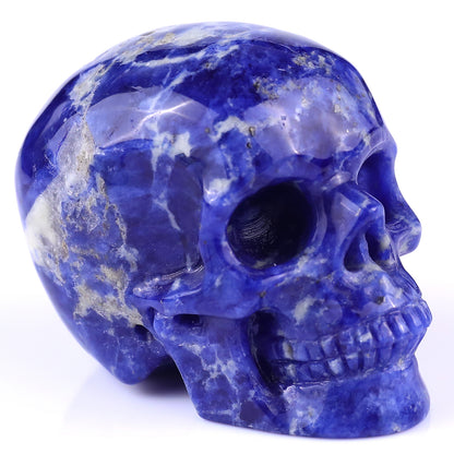 3.0" Sodalite Hand Carved Crystal Realistic Skull Sculpture Crystallumi