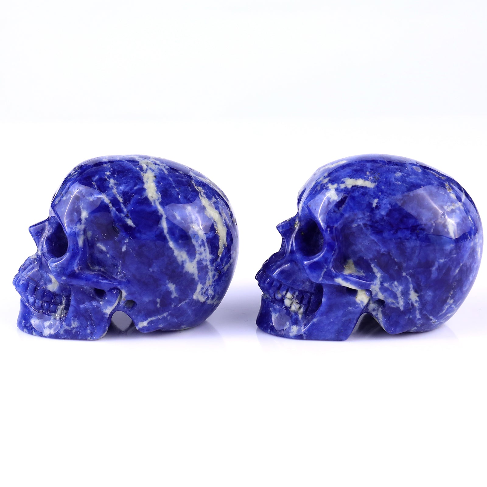 3.0" Sodalite Hand Carved Crystal Realistic Skull Sculpture Crystallumi