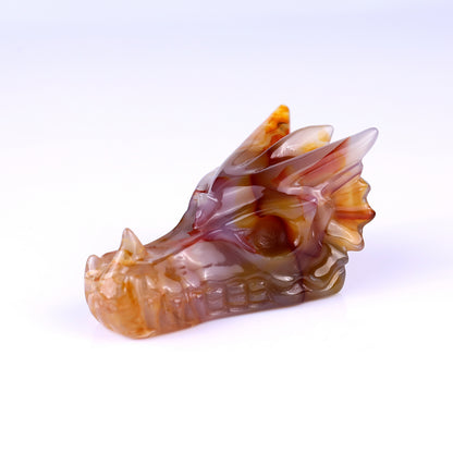 3.1" Agate Hand Carved Crystal Dragon Skull Sculpture Crystallumi