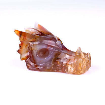 3.1" Agate Hand Carved Crystal Dragon Skull Sculpture Crystallumi