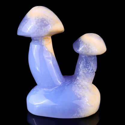 3.1" Blue Chalcedony Hand Carved Crystal Mushrooms Sculpture Crystallumi