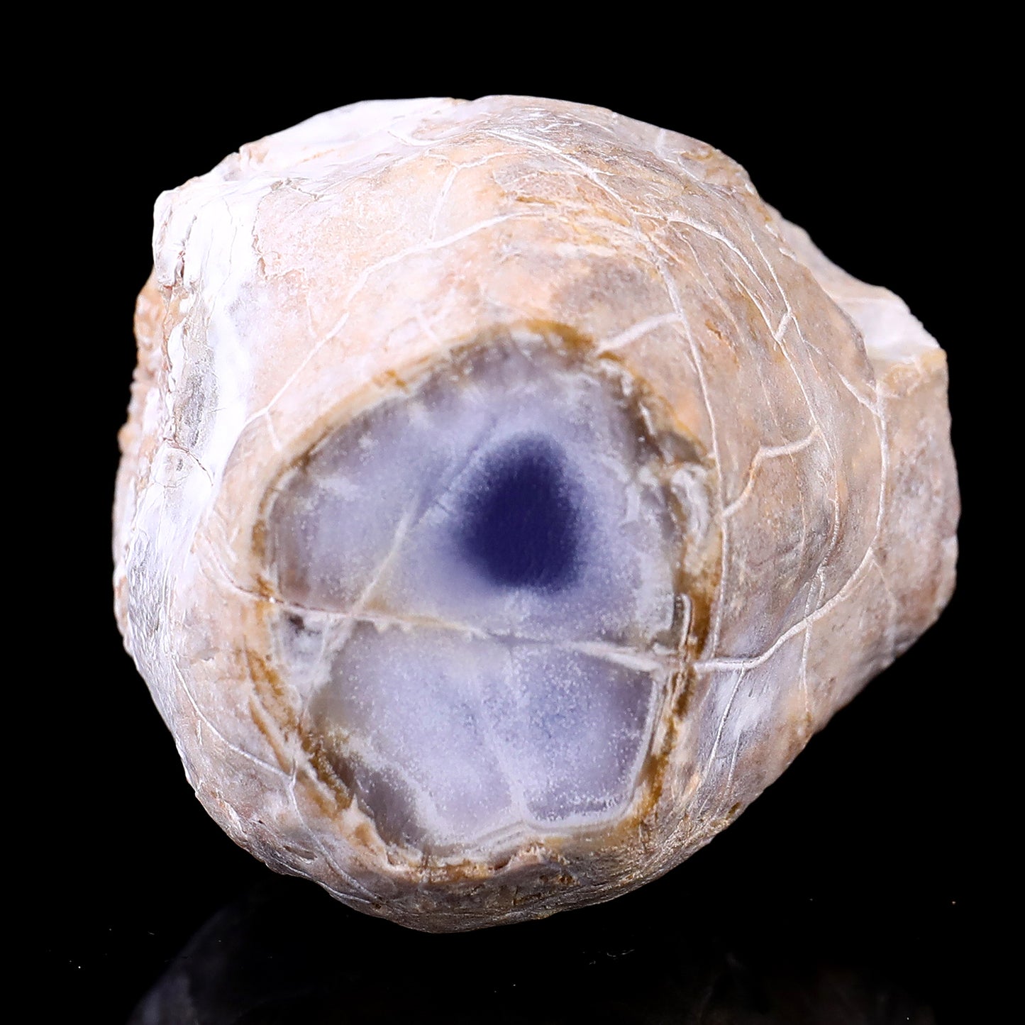 3.1" Blue Chalcedony Hand Carved Crystal Polished Point Crystallumi