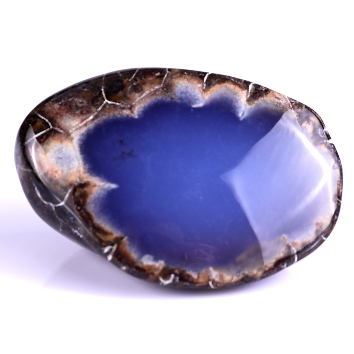 3.1" Blue Chalcedony Hand Carved Crystal Polished Stone Crystallumi