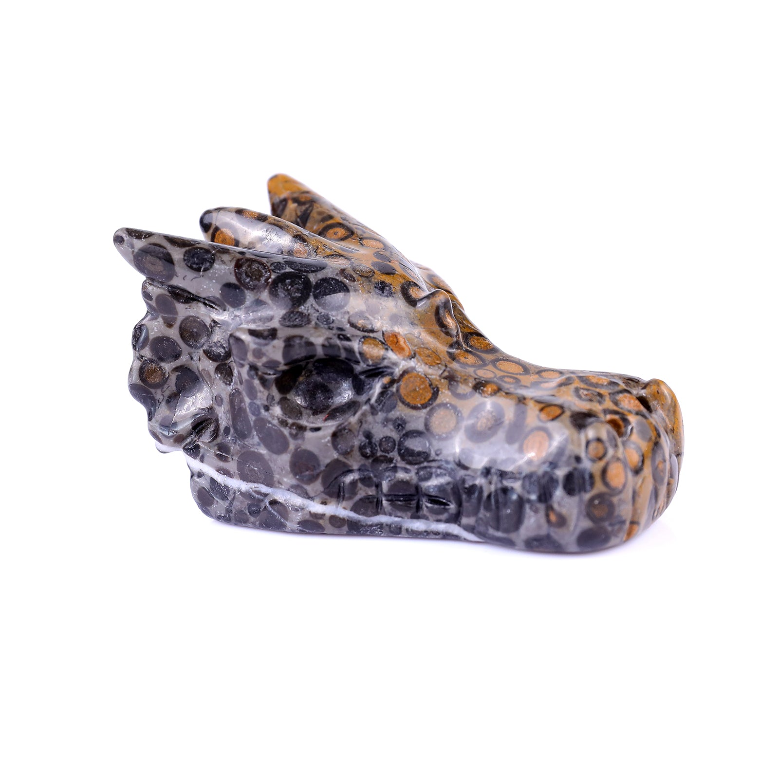 3.1" Leopard Skin Jasper Hand Carved Crystal Dragon Skull Sculpture Crystallumi