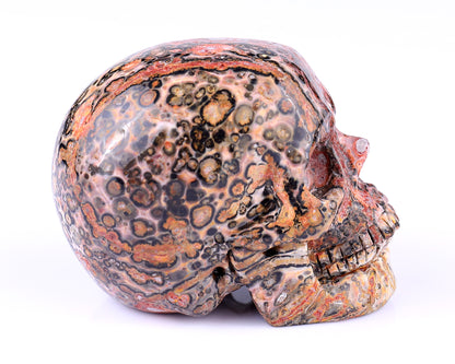 3.1" Leopard Skin Jasper Hand Carved Crystal Realistic Skull Sculpture Crystallumi