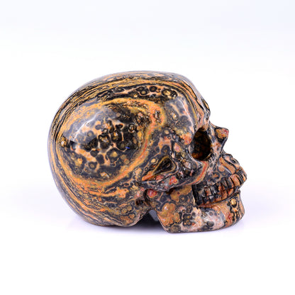 3.1" Leopard Skin Jasper Hand Carved Crystal Realistic Skull Sculpture Crystallumi