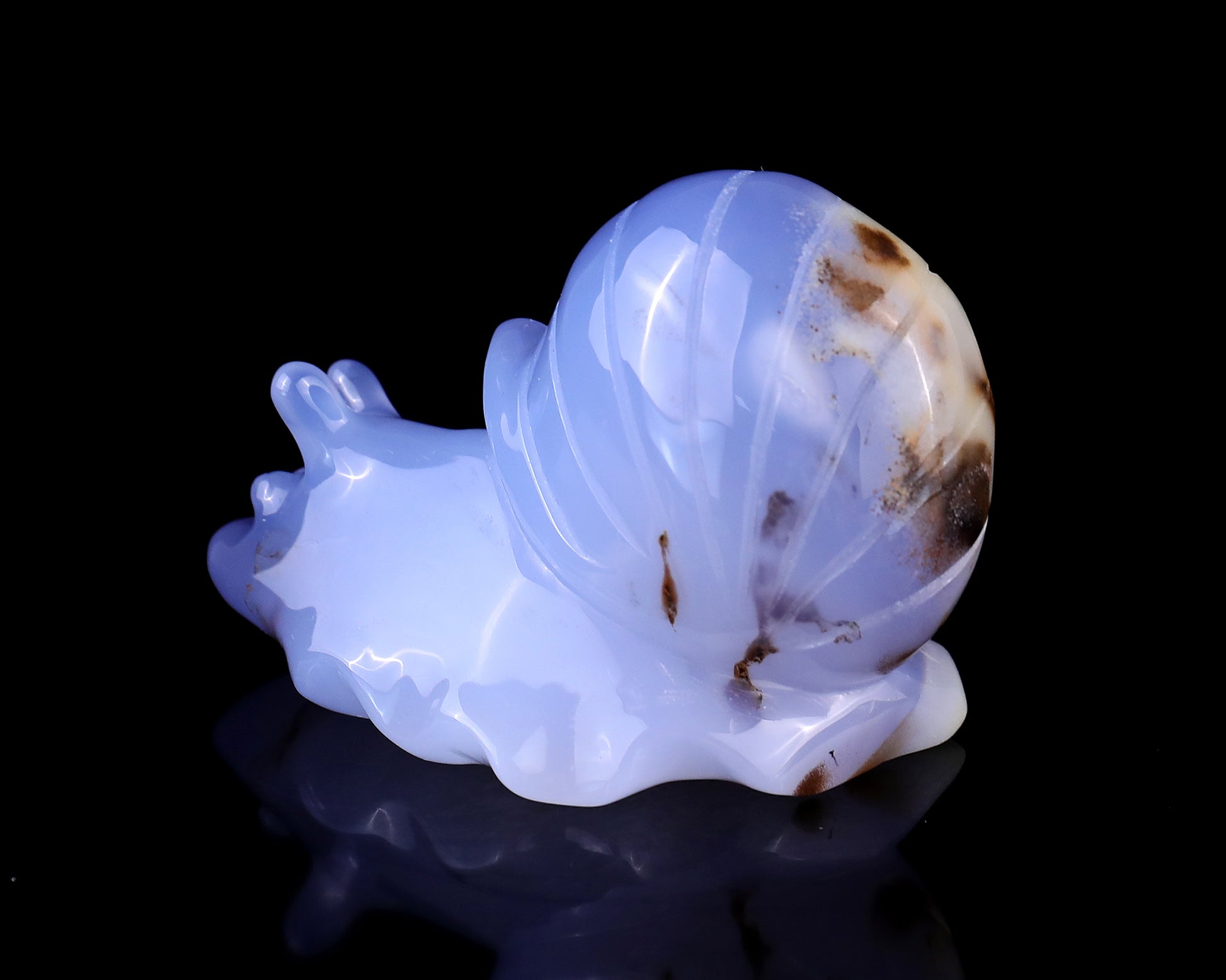 3.2" Blue Chalcedony Hand Carved Crystal Snail Sculpture Crystallumi