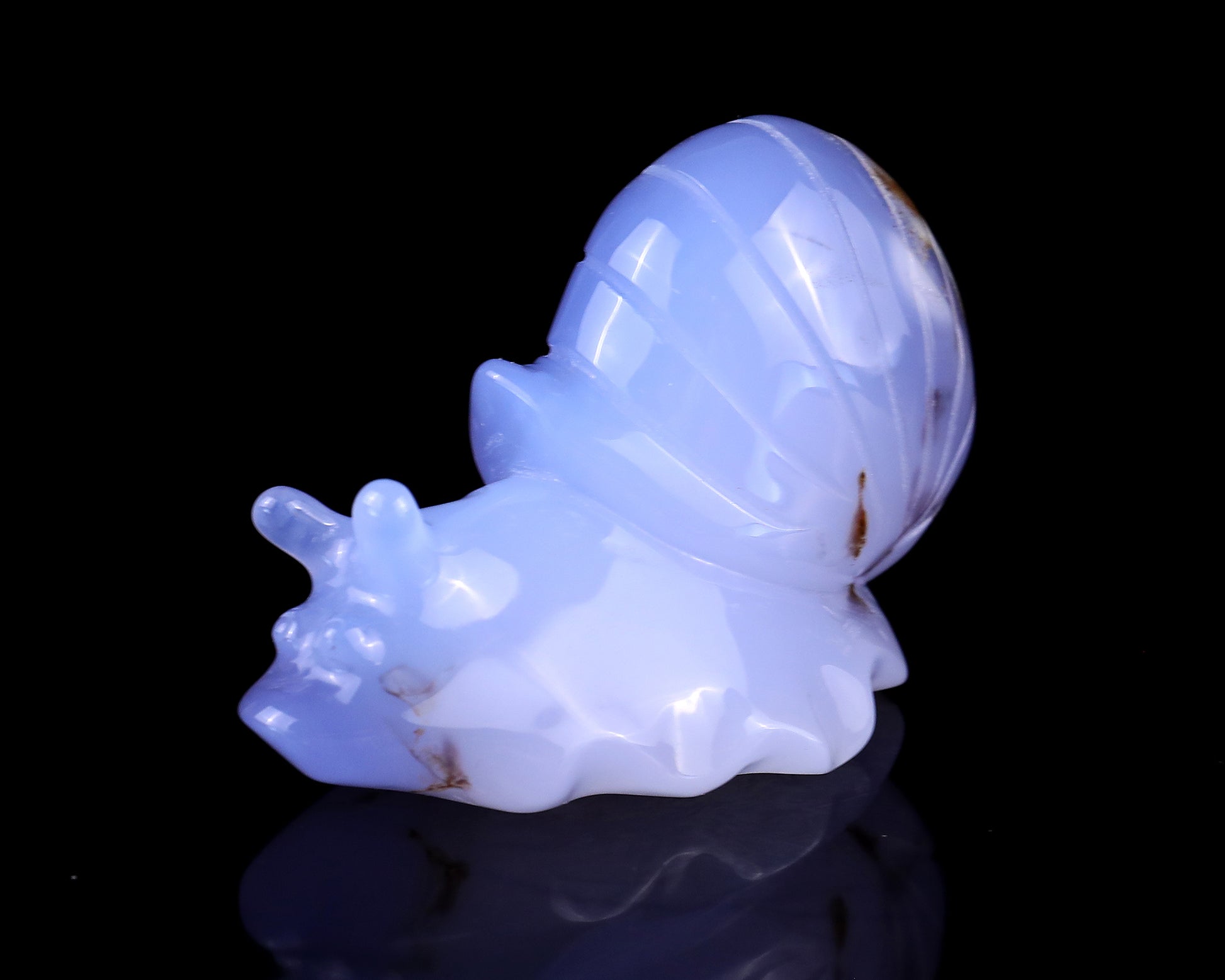 3.2" Blue Chalcedony Hand Carved Crystal Snail Sculpture Crystallumi