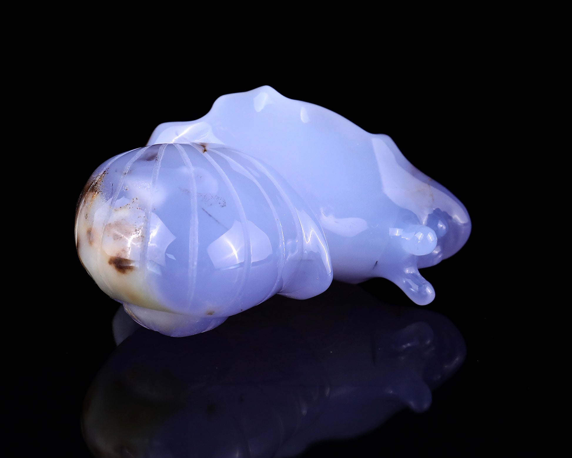 3.2" Blue Chalcedony Hand Carved Crystal Snail Sculpture Crystallumi