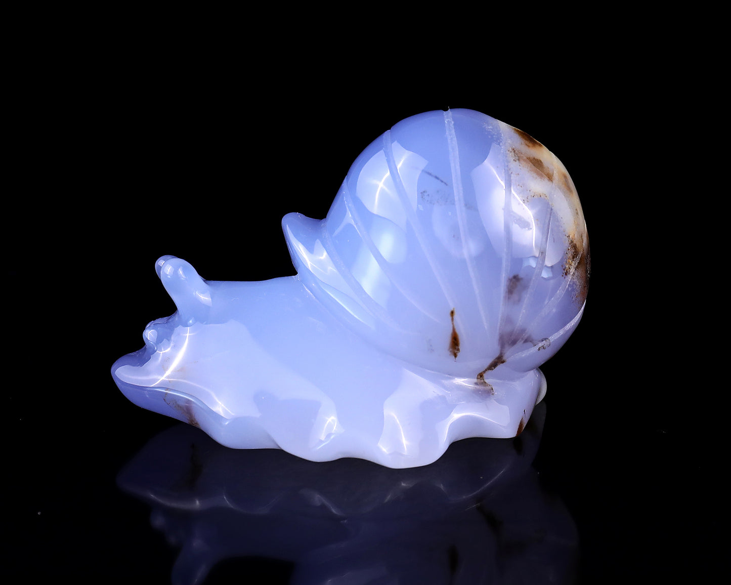 3.2" Blue Chalcedony Hand Carved Crystal Snail Sculpture Crystallumi