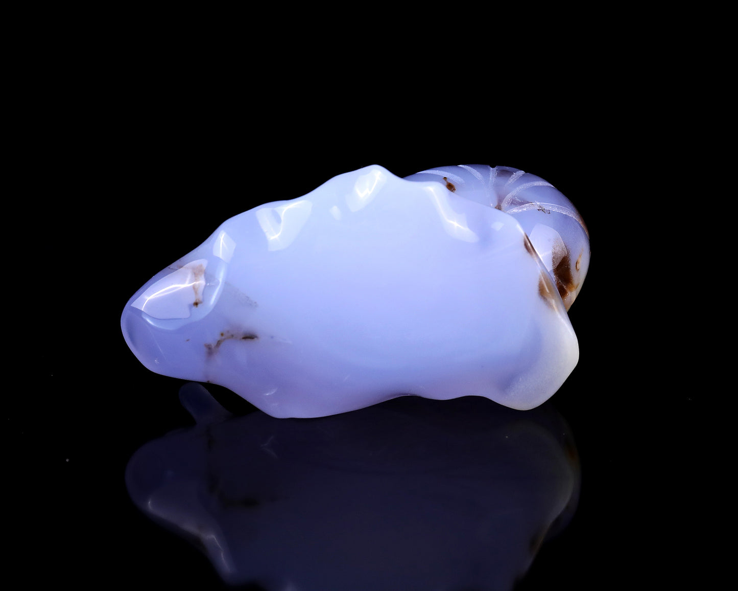 3.2" Blue Chalcedony Hand Carved Crystal Snail Sculpture Crystallumi