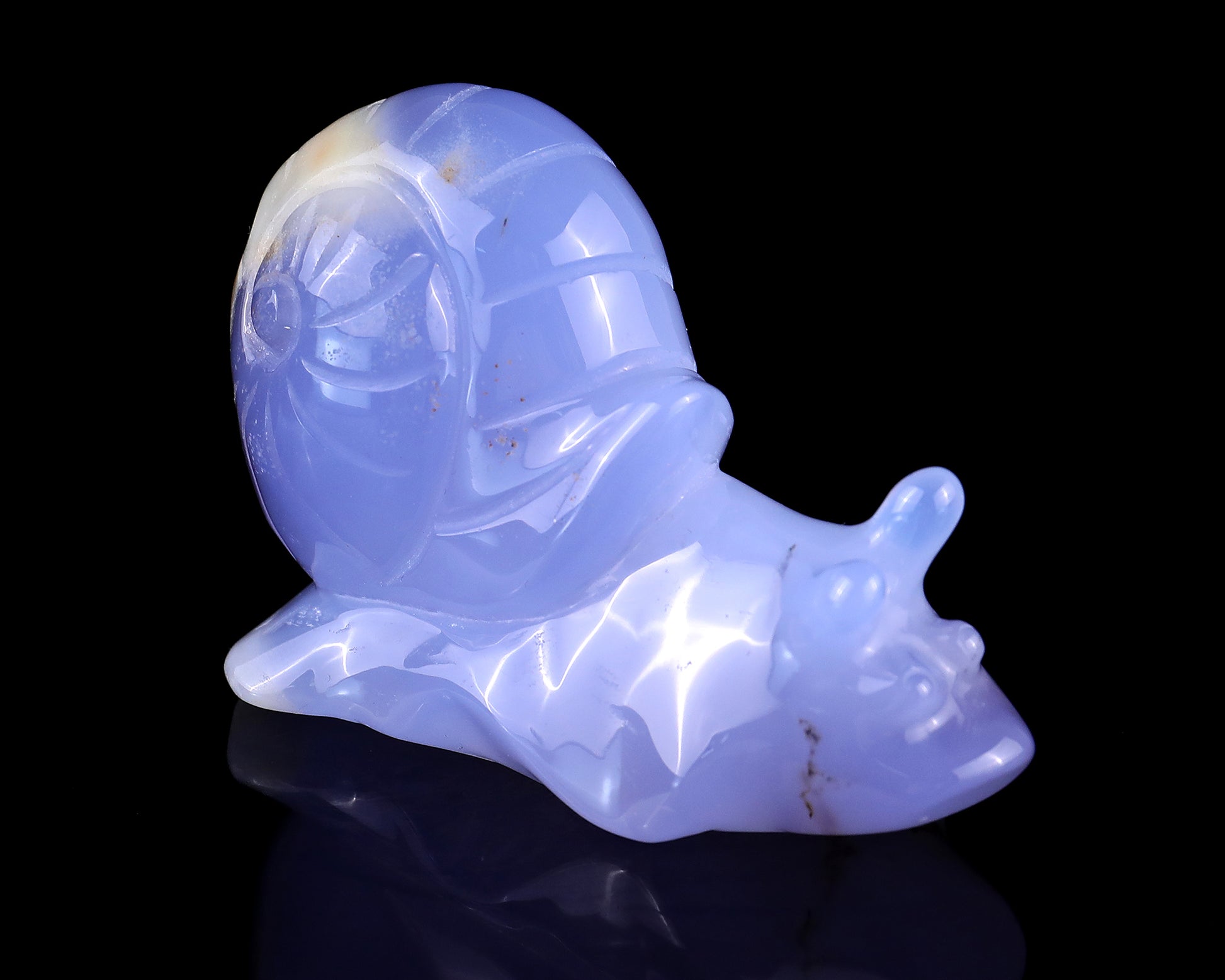 3.2" Blue Chalcedony Hand Carved Crystal Snail Sculpture Crystallumi