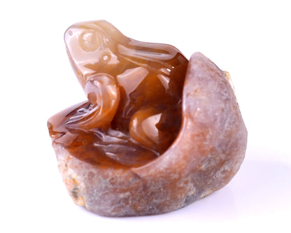 3.2" Chalcedony Hand Carved Crystal Frog Sculpture Crystallumi