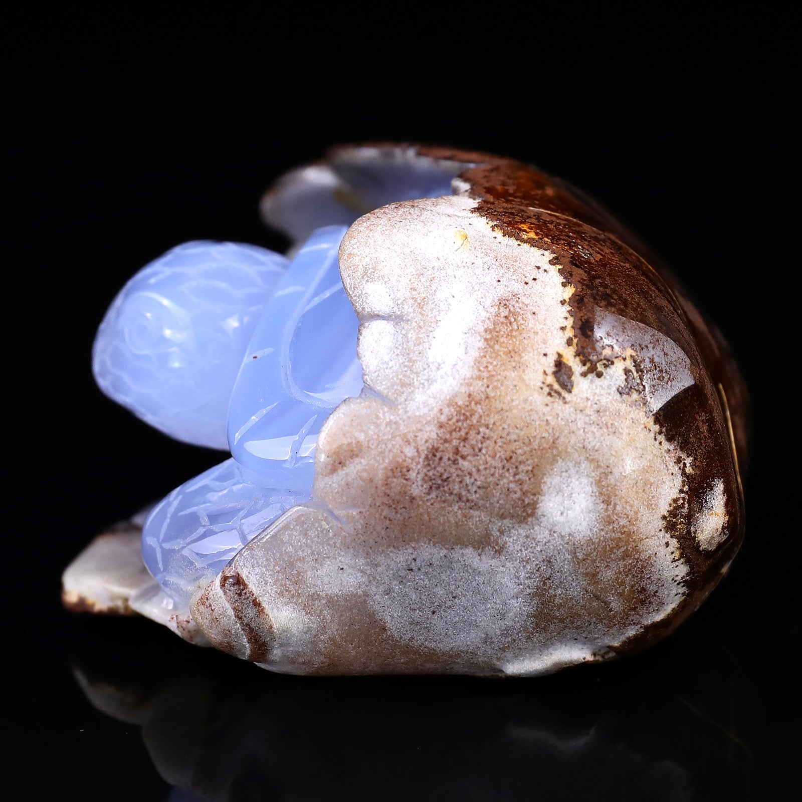 3.3" Blue Chalcedony Hand Carved Crystal Turtle Sculpture Crystallumi