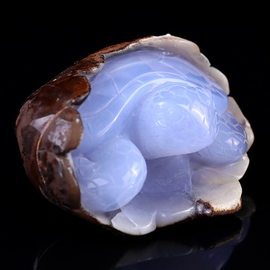 3.3" Blue Chalcedony Hand Carved Crystal Turtle Sculpture Crystallumi