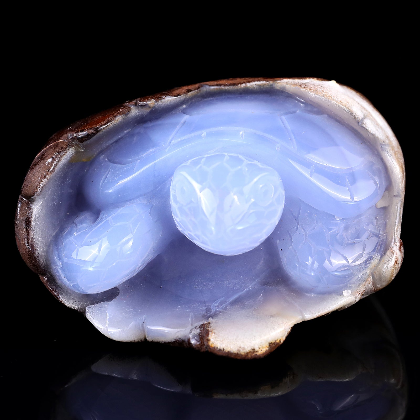 3.3" Blue Chalcedony Hand Carved Crystal Turtle Sculpture Crystallumi