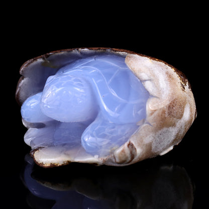 3.3" Blue Chalcedony Hand Carved Crystal Turtle Sculpture Crystallumi