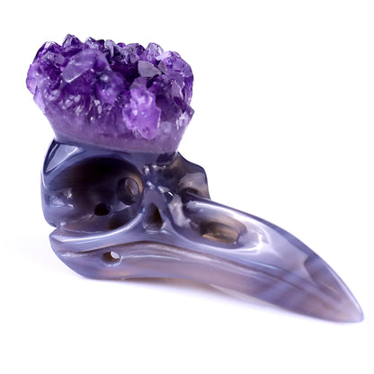 3.4" Amethyst Druse Agate Hand Carved Crystal Raven Skull Sculpture Crystallumi