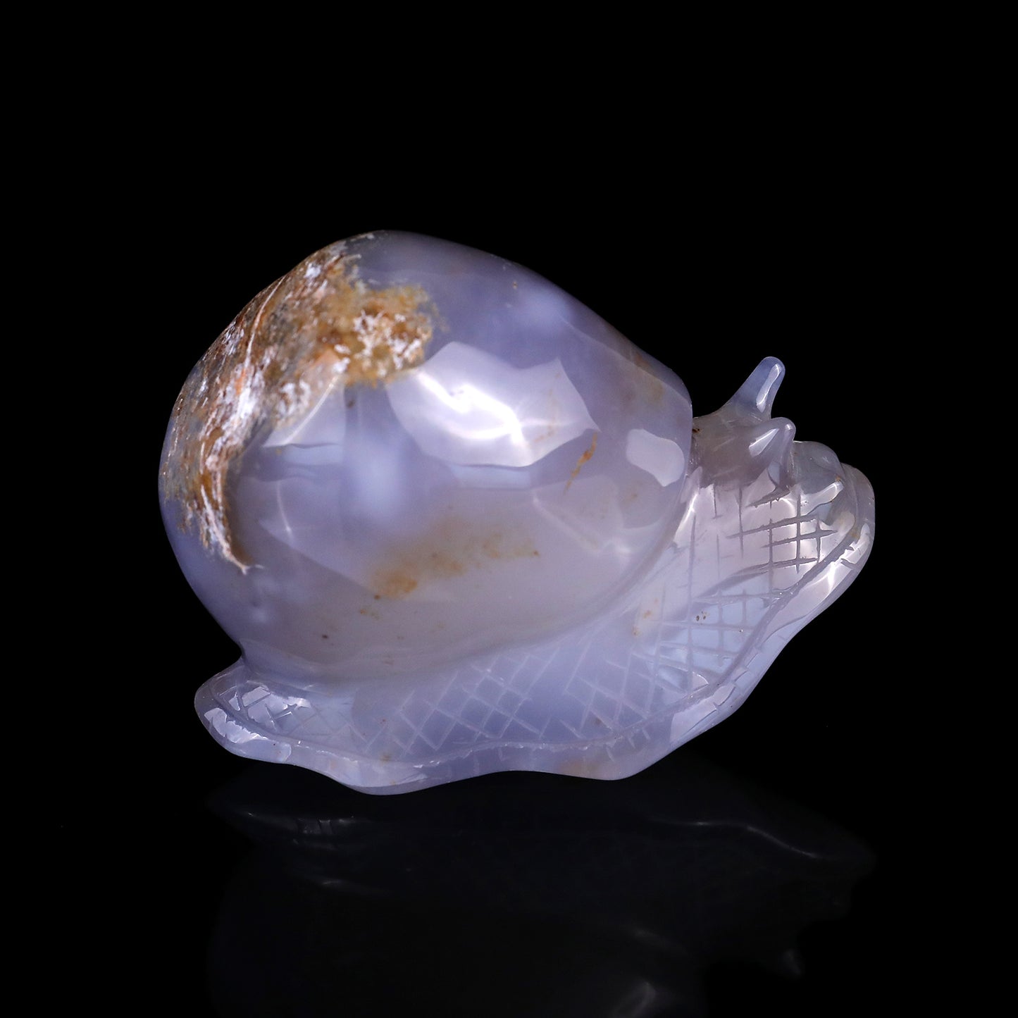 3.4" Blue Chalcedony Hand Carved Crystal Snail Sculpture Crystallumi