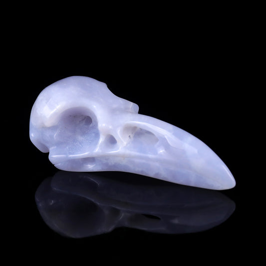 3.5" Blue Chalcedony Hand Carved Crystal Raven Skull Sculpture Crystallumi