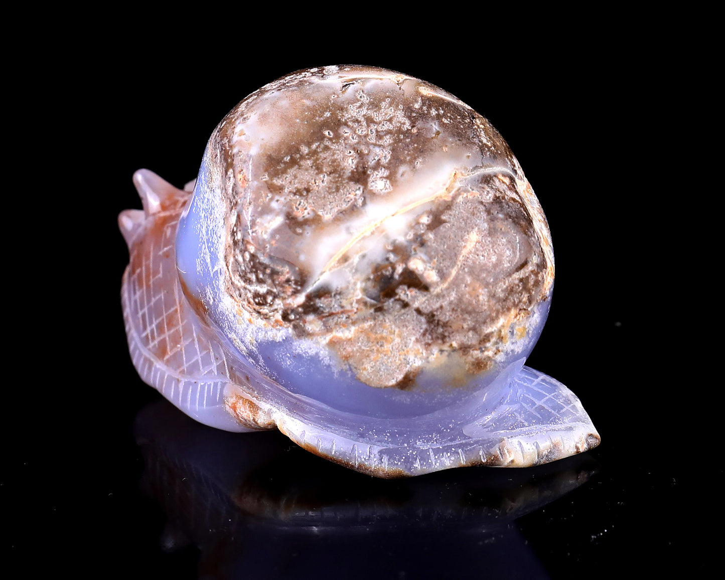 3.5" Blue Chalcedony Hand Carved Crystal Snail Sculpture Crystallumi