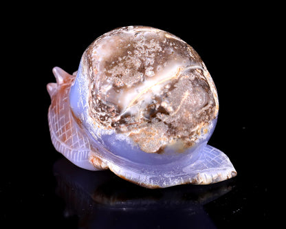 3.5" Blue Chalcedony Hand Carved Crystal Snail Sculpture Crystallumi