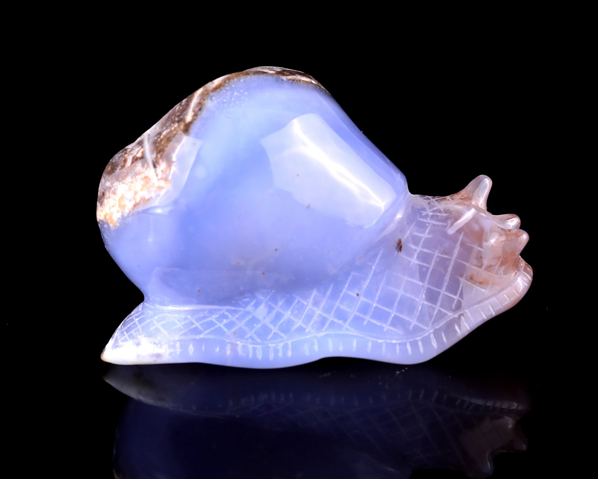 3.5" Blue Chalcedony Hand Carved Crystal Snail Sculpture Crystallumi