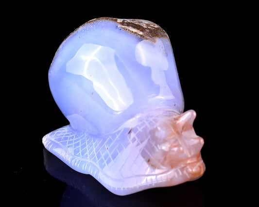 3.5" Blue Chalcedony Hand Carved Crystal Snail Sculpture Crystallumi