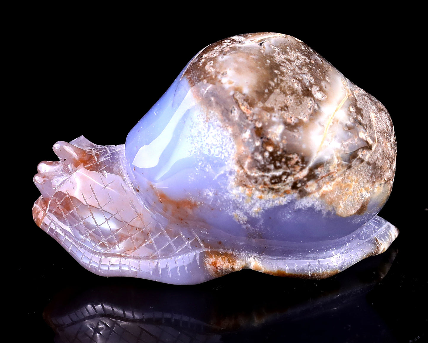 3.5" Blue Chalcedony Hand Carved Crystal Snail Sculpture Crystallumi