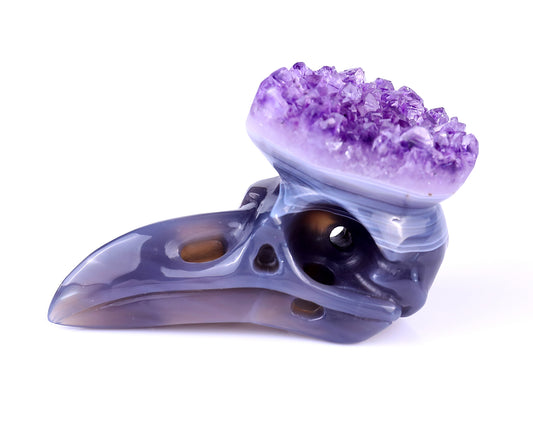 3.7" Amethyst Druse Agate Hand Carved Crystal Raven Skull Sculpture Crystallumi