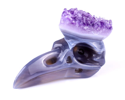 3.7" Amethyst Druse Agate Hand Carved Crystal Raven Skull Sculpture Crystallumi