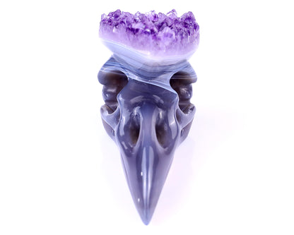 3.7" Amethyst Druse Agate Hand Carved Crystal Raven Skull Sculpture Crystallumi