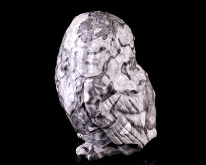 3.7" Black Crazy Agate Hand Carved Crystal Owl Sculpture Crystallumi