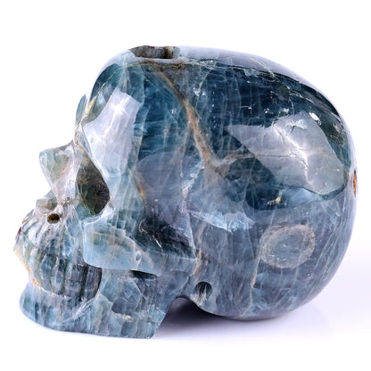 3.7" Blue Apatite Hand Carved Crystal Realistic Skull Sculpture Crystallumi