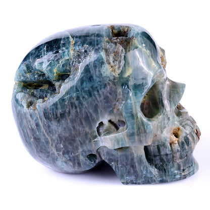 3.7" Blue Apatite Hand Carved Crystal Realistic Skull Sculpture Crystallumi