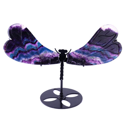 3.7" Fluorite Hand Carved Crystal Dragonfly Wings Sculpture Crystallumi