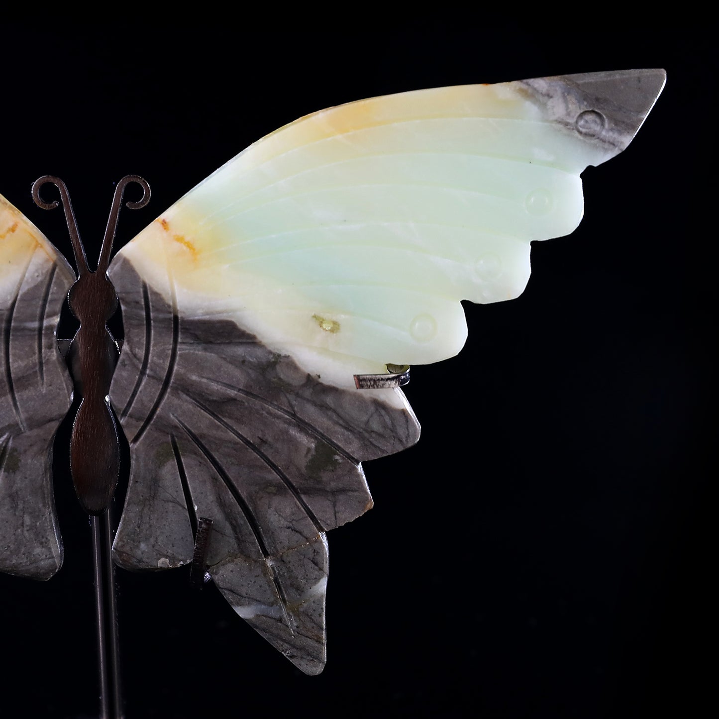 3.9" Amazonite Hand Carved Crystal Butterfly Wings Sculpture Crystallumi