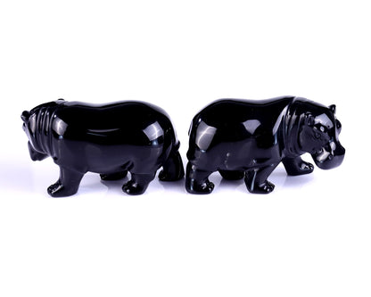 3.9" Black Obsidian Hand Carved Crystal Hippo Sculpture Crystallumi