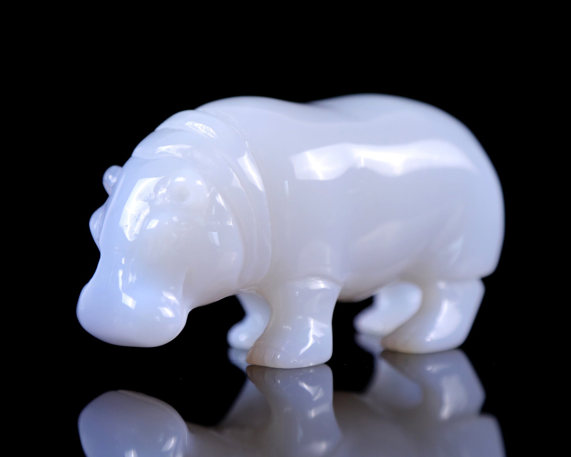 3.9" Blue Chalcedony Hand Carved Crystal Hippo Sculpture Crystallumi