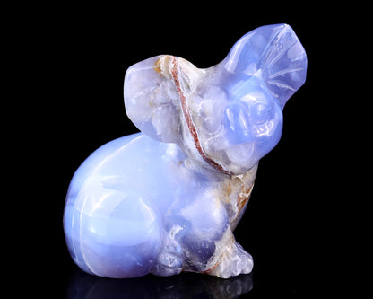 3.9" Blue Chalcedony Hand Carved Crystal Koala Sculpture Crystallumi