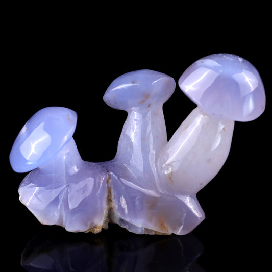 3.9" Blue Chalcedony Hand Carved Crystal Mushrooms Sculpture Crystallumi