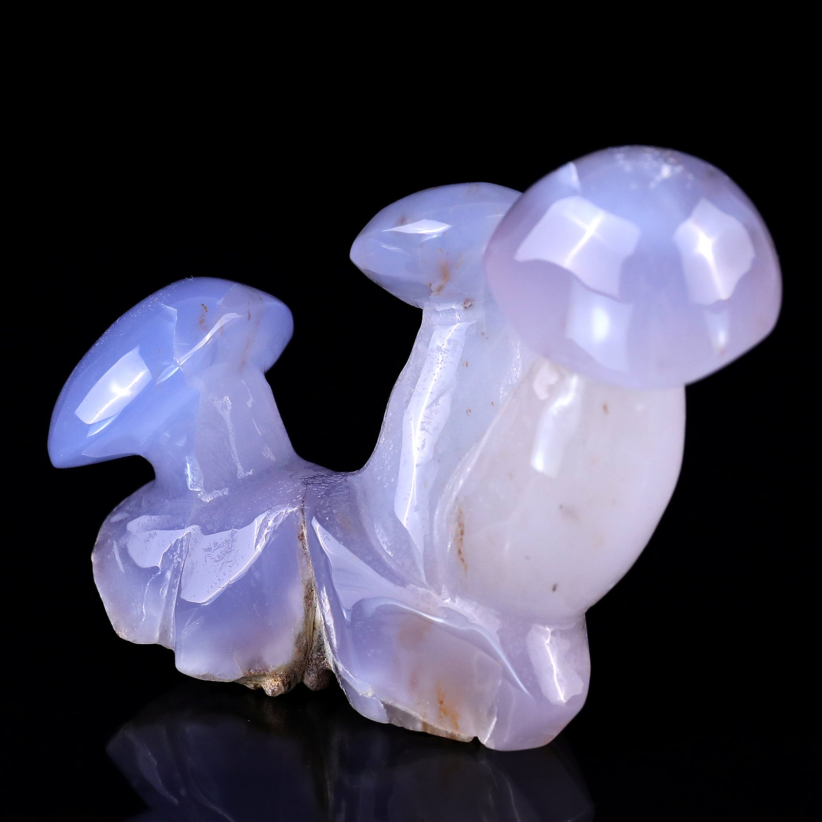 3.9" Blue Chalcedony Hand Carved Crystal Mushrooms Sculpture Crystallumi